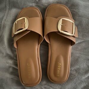 Bamboo Women's Brown Slide Sandals with Gold Buckle